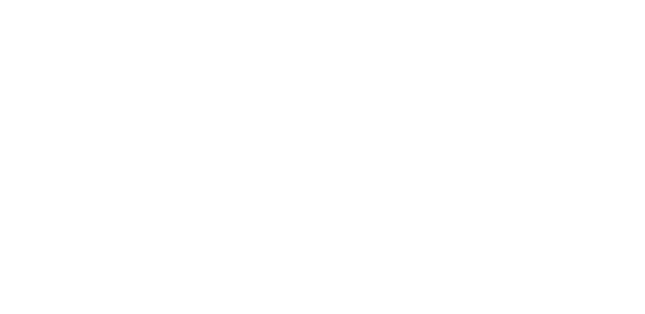 Partikelfilter Profis
